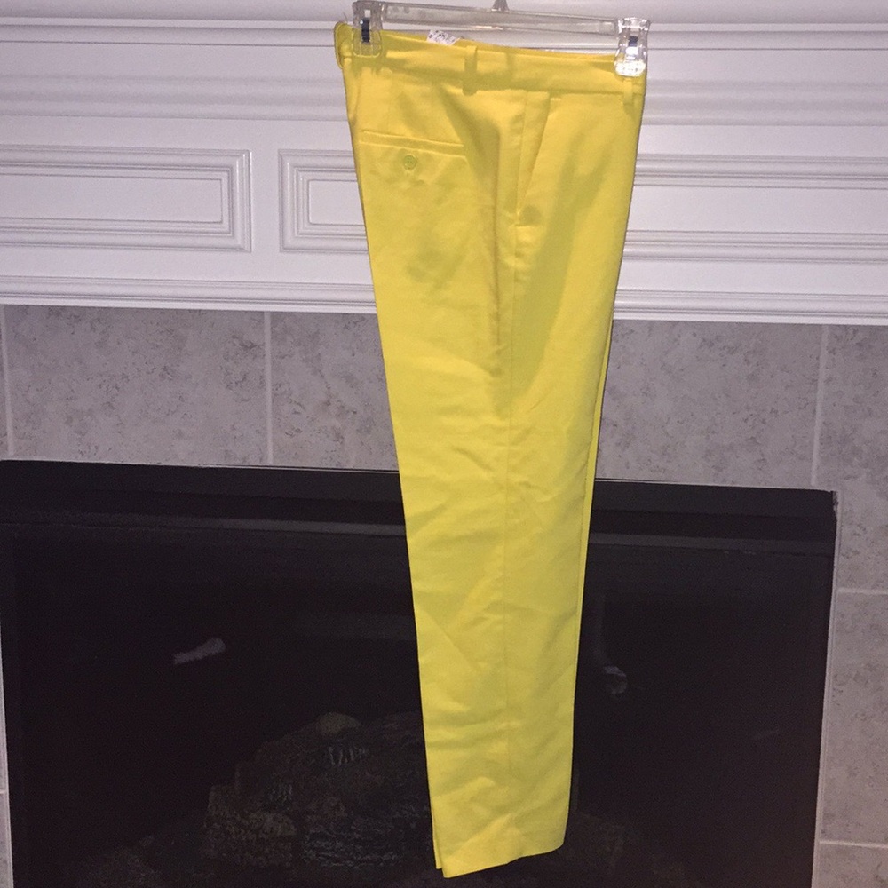 Zara Ankle Pants